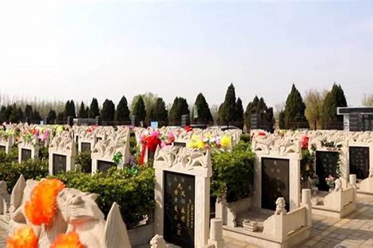 清明节没回去拜祖先有什麼办法代替