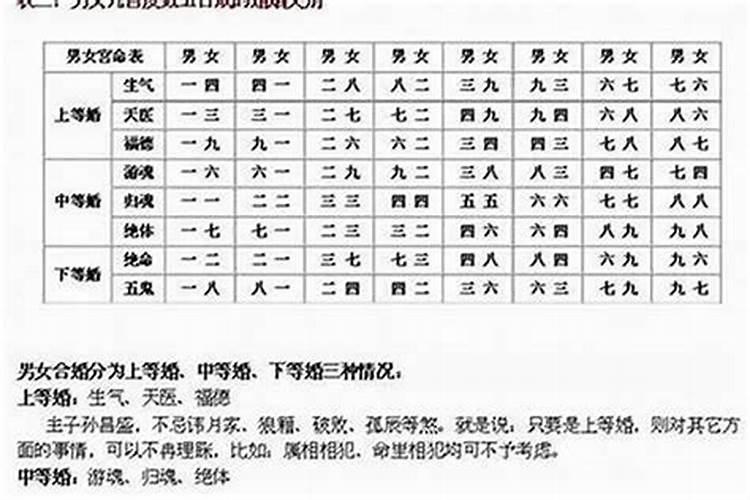 88年龙人在哪年发财