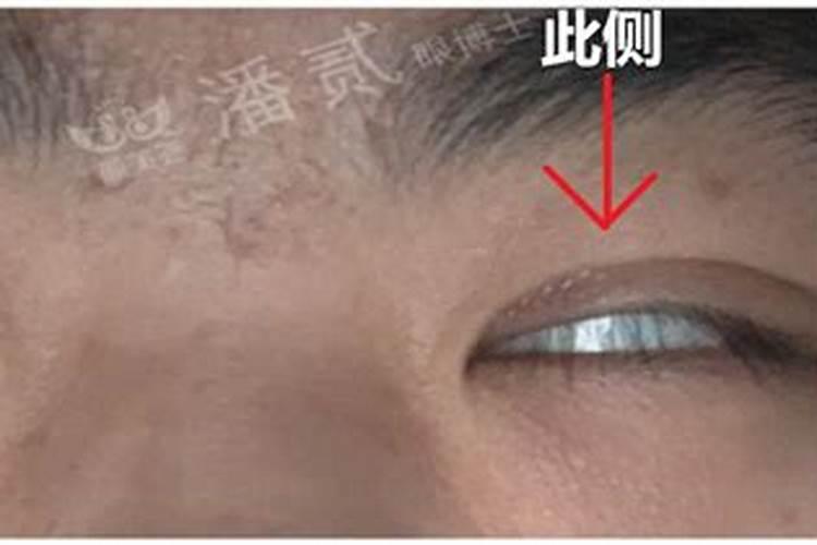 荔枝的品种该如何区分？