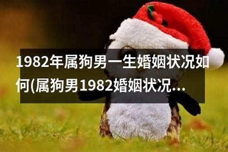 84年2025年属鼠人的全年运势