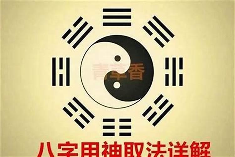 生肖兔2025年运势 属兔2025年运势及运程