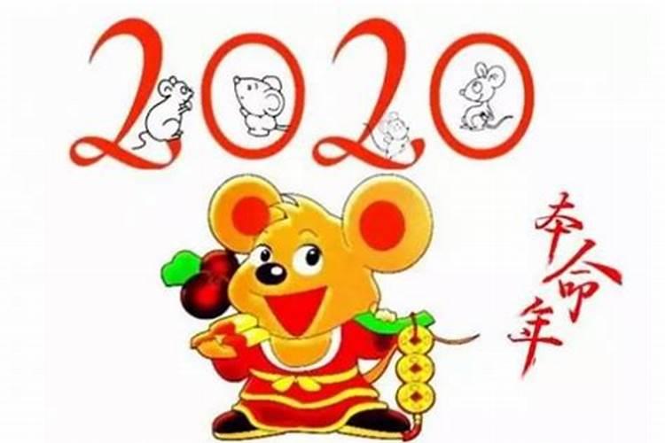属鼠犯太岁的年份