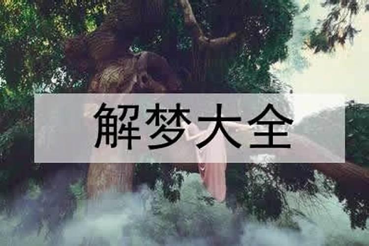 女人梦到好多蠕动的软体虫子
