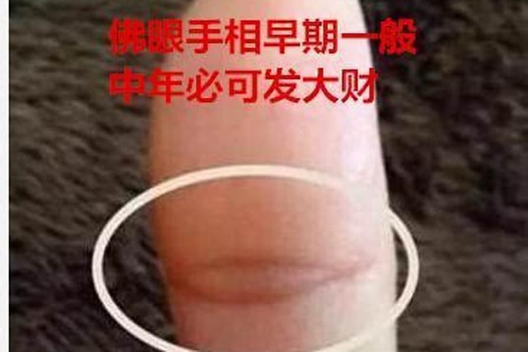 生肖鼠1984年2025年运势如何 生肖鼠1984年2025年全年运势