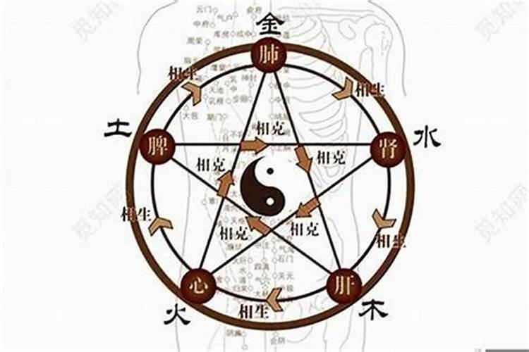 金木火土水在八字中分别代表什么？