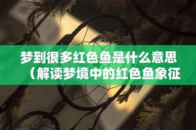 2025年犯太岁的生肖虎怎么化解 2025年犯太岁的生肖虎怎么躲星