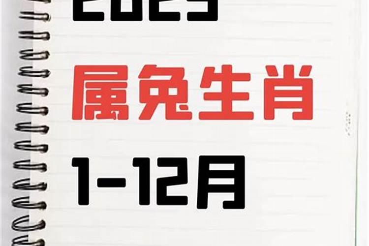 1951年属兔人2024年运势男命