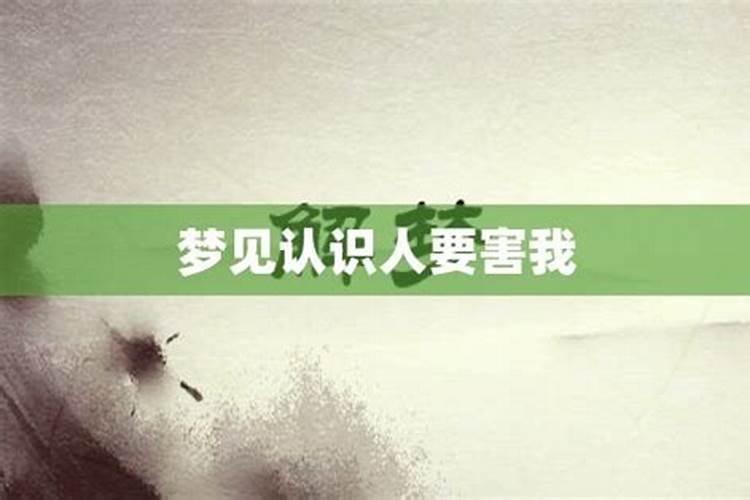 梦见人不理我