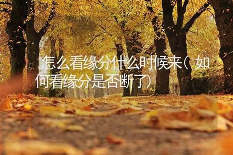 中元节是什么时候开始什么时候结束