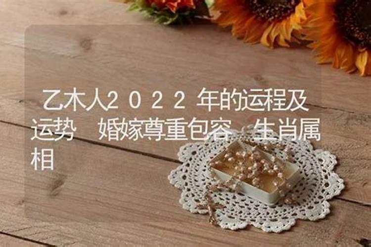 乙丑年壬午月乙巳日戊寅时乾造今年运程如何？
