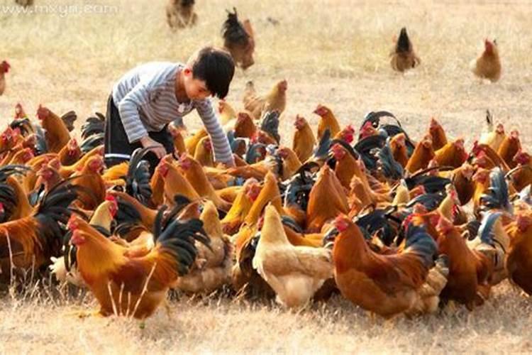 梦见自己手指受伤流血是什么预兆