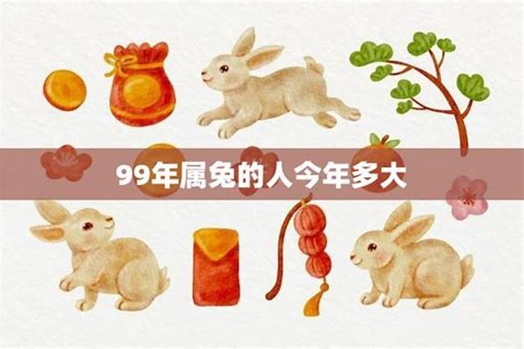 属牛一生的命运如何