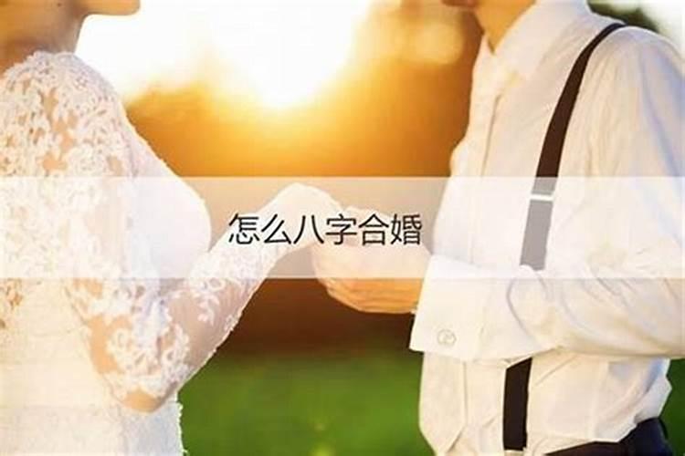 合八字要合几个最好,八字几合才是最好的？