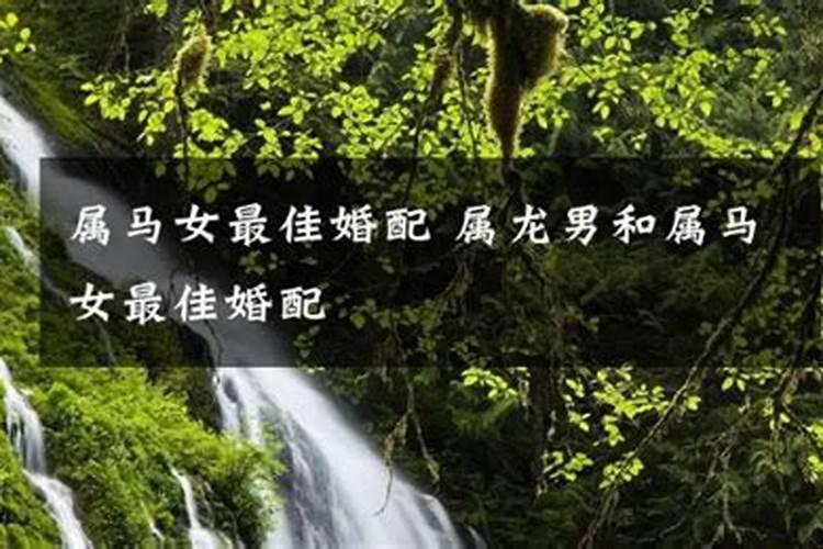 2025年属虎全年运势