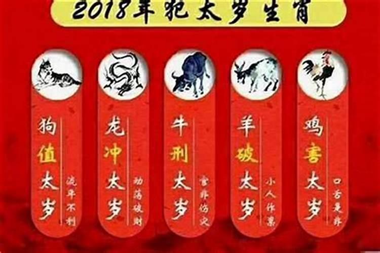 猪年说属蛇犯太岁