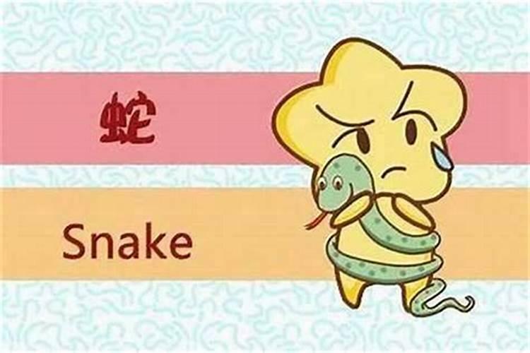 属蛇爸爸和虎宝宝八字合不合 蛇与虎天生不合？