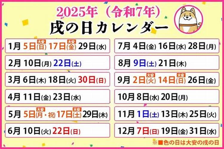 今天9月2号87年的兔子今天的运气如何财运如何？