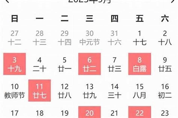 属猪2025年运势及运程详解