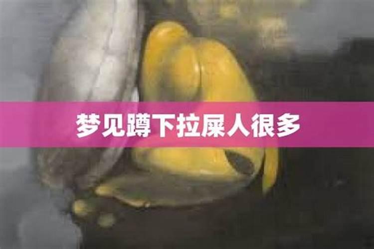 2025年猪女全年运程