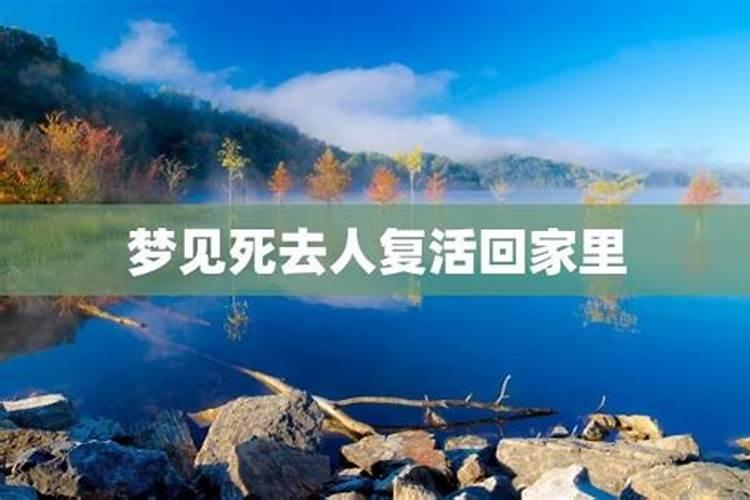 83年猪女2025年运势怎么样