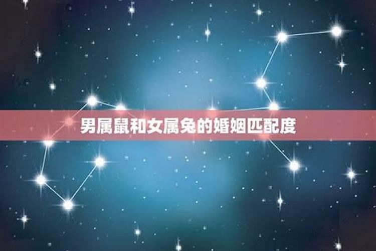 属兔穿什么衣服最旺