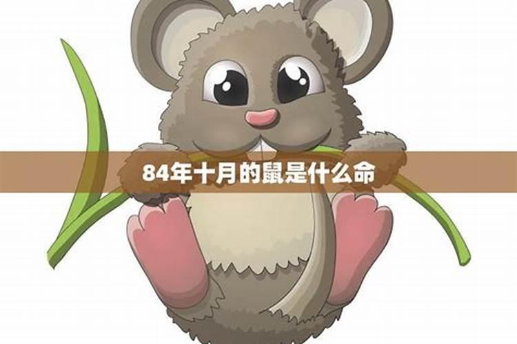 1979在2025每月运气