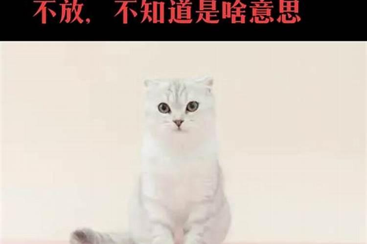 参加丧事感觉运气不好