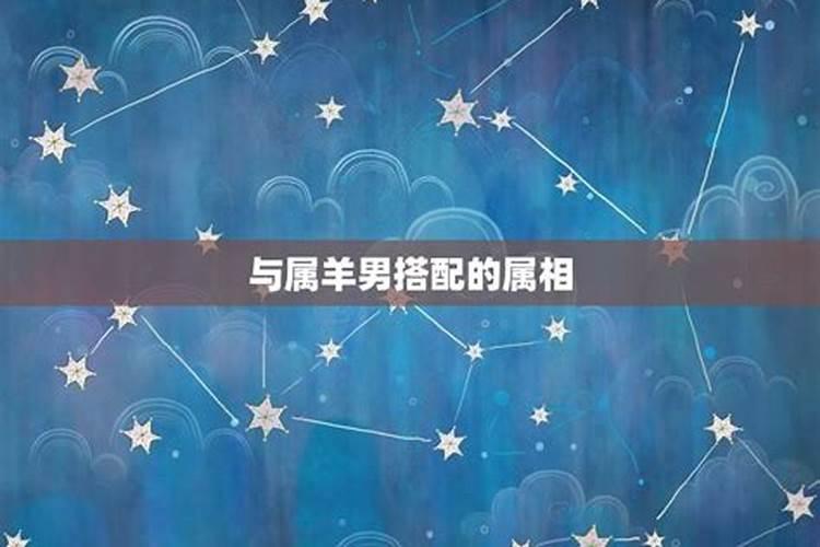97年的牛女婚配什么属相好