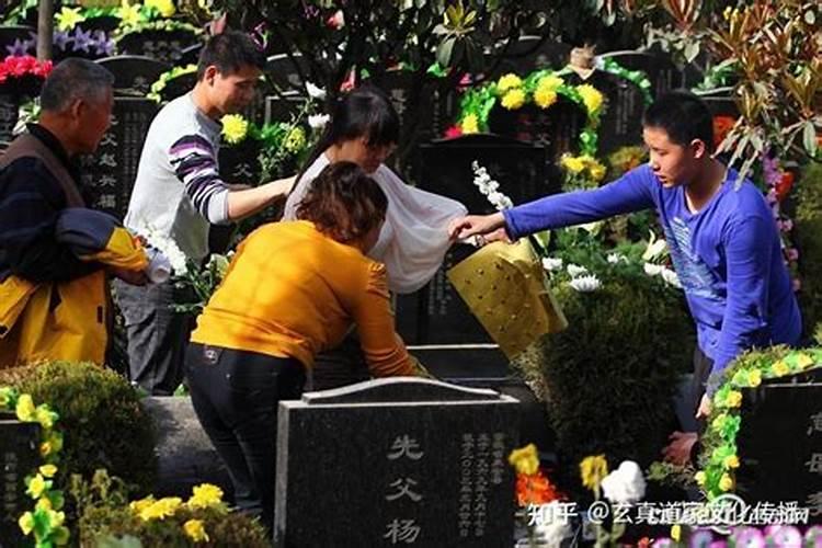 给老人上坟买几朵花(去坟前祭奠老人摆花买什么鲜花)