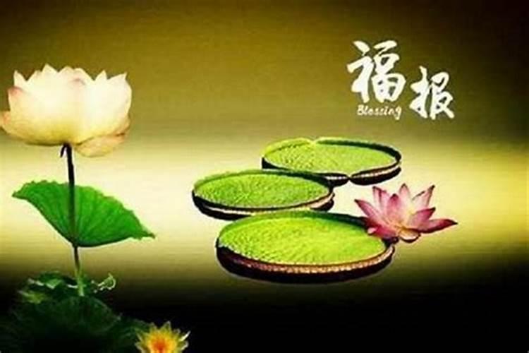 梦见一个女人拉住我不放的预兆