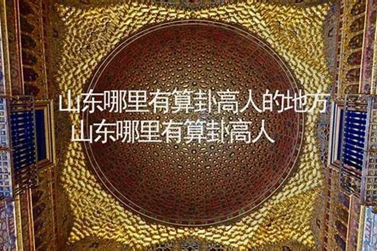 滨州市盛佳婚恋服务有限公司怎么样？