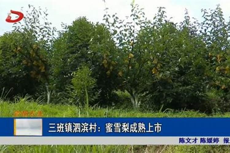 完美世界中石昊在哪一张说过他以后会成帝