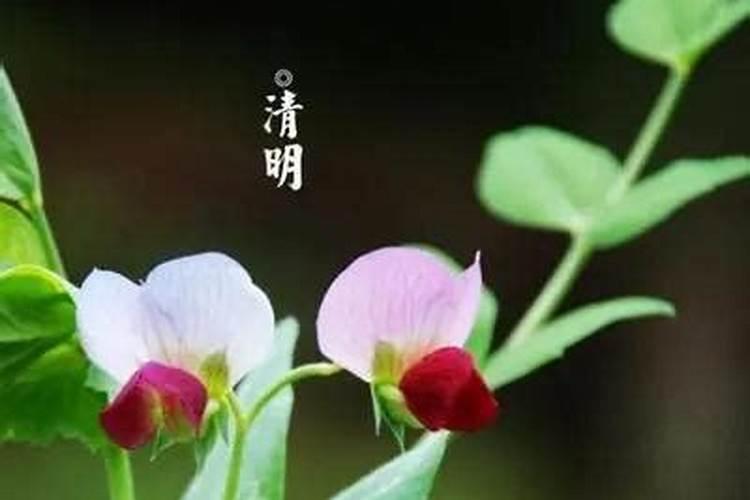 寺庙做超度需要多少钱？