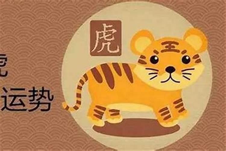 属虎在本命年的运气好不好
