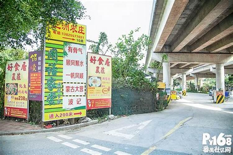 广州番禺区有什么传统民俗和节日？