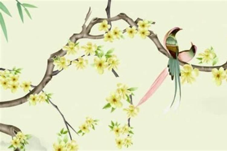 生辰八字烧掉影响婚姻吗