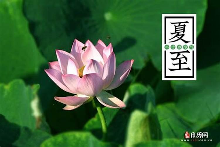 2025天坑具体时间表