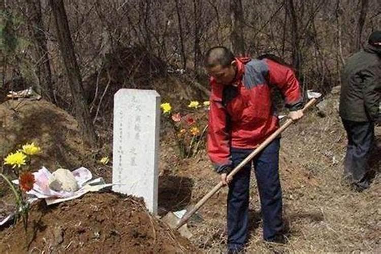 本命年兔需要佩戴什么 本命年兔需要佩戴哪些饰品