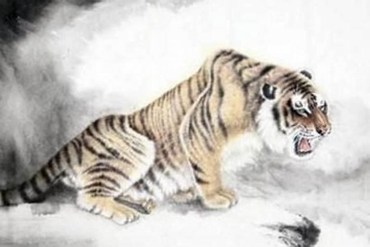 梦到猫死了预示什么