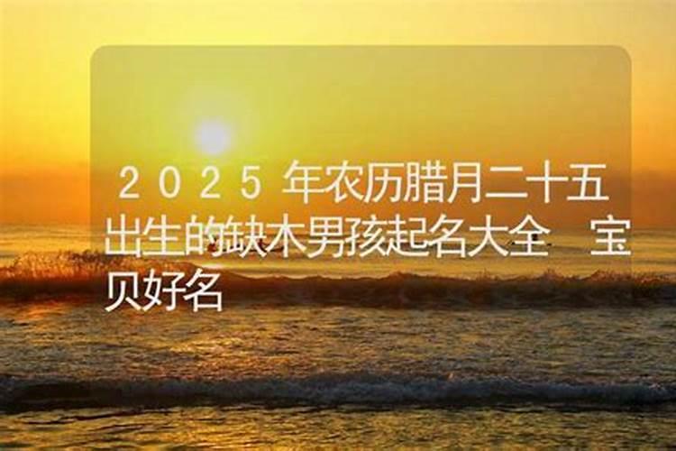 2025年冬月蛇宝宝和腊月蛇宝宝哪个运势更好