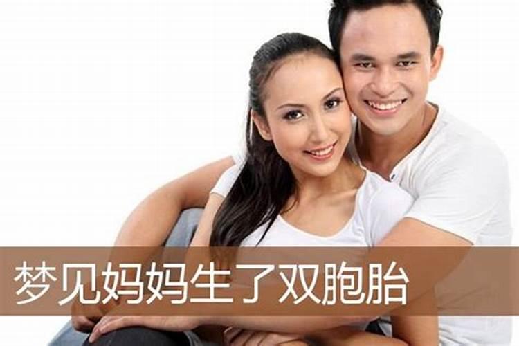 家里有高考的孩子适合养什么花 寓意高考金榜题名的植物有哪些