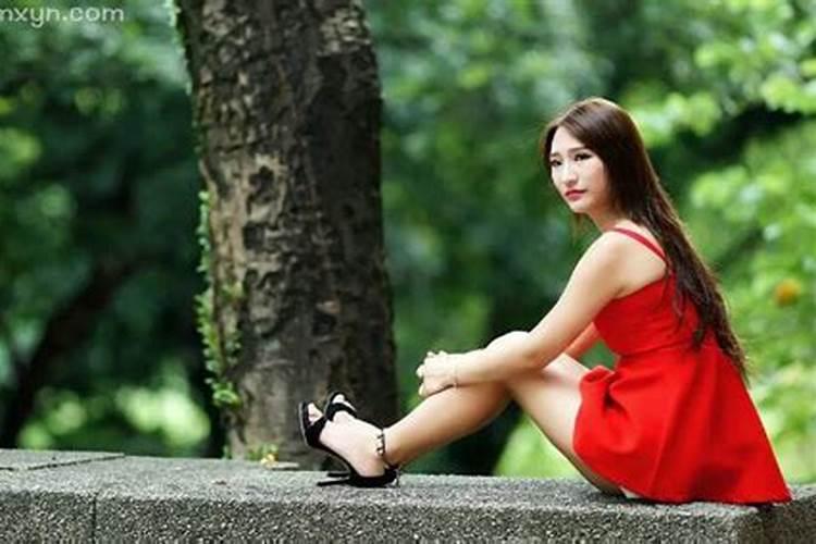 女属狗的82年阴历十一月初三戌时出生的命运如何