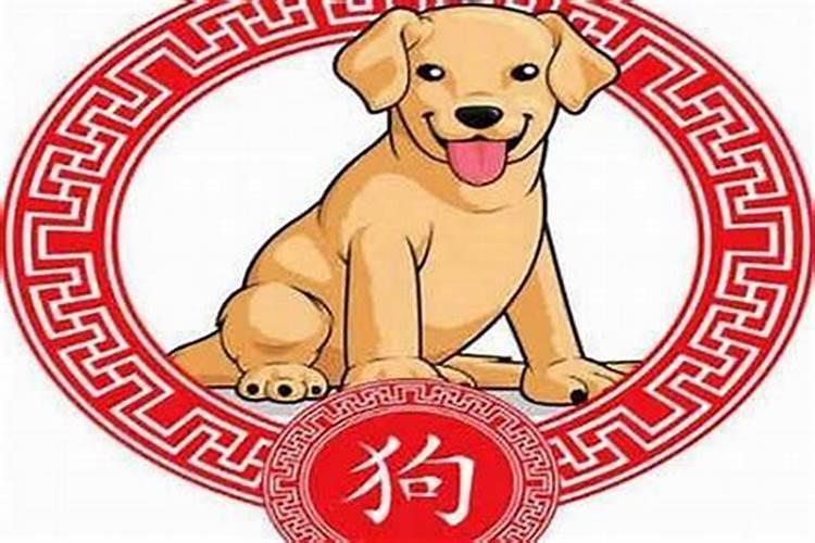 2025年属蛇人的全年运势详解