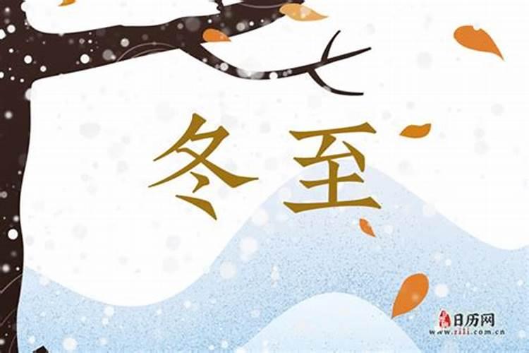 生肖蛇2025年运势及运程如何