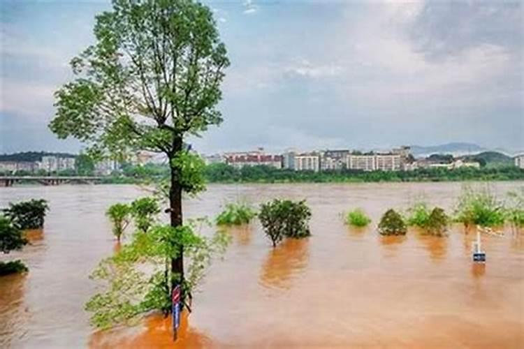 属猪2025年犯太岁怎么化解