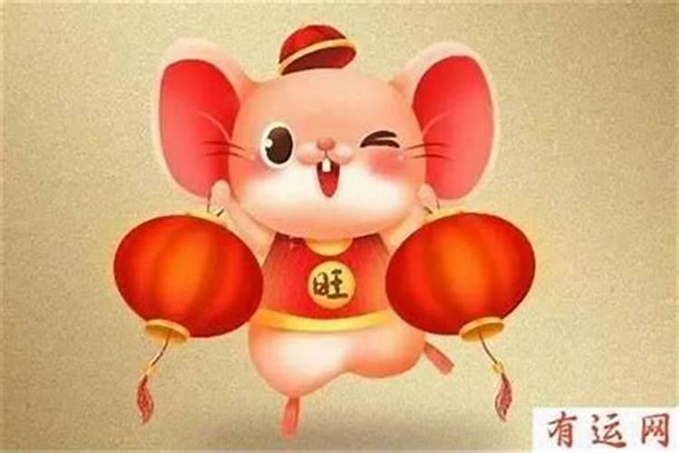 属鼠的人2025年运势及运程