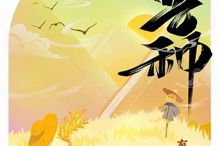 芒种阴天好还是晴天好