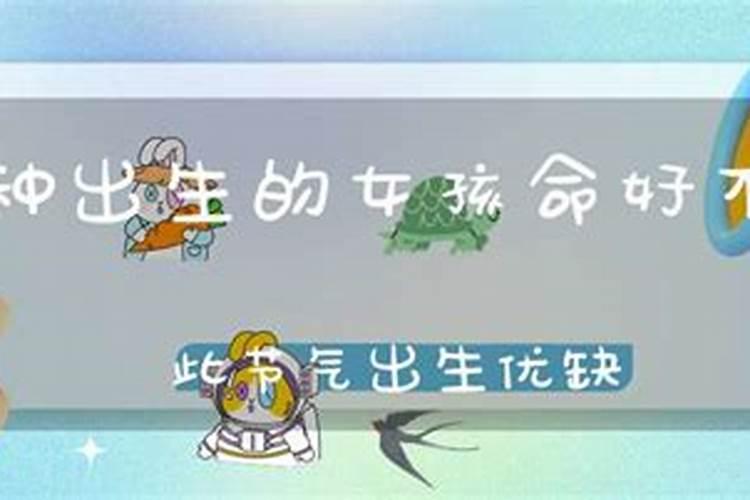 夏至出生的人是什么命那天出生好吗？
