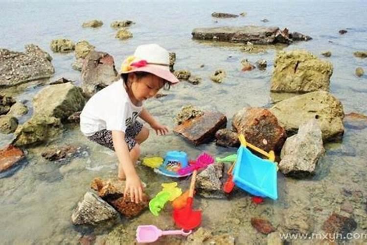 95年属猪人未来三年运势