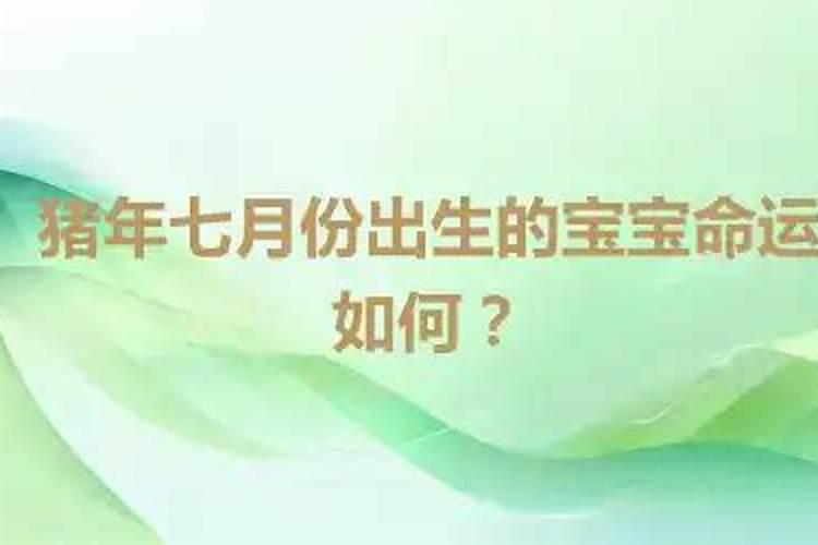 属猪运气最好的月份是几月